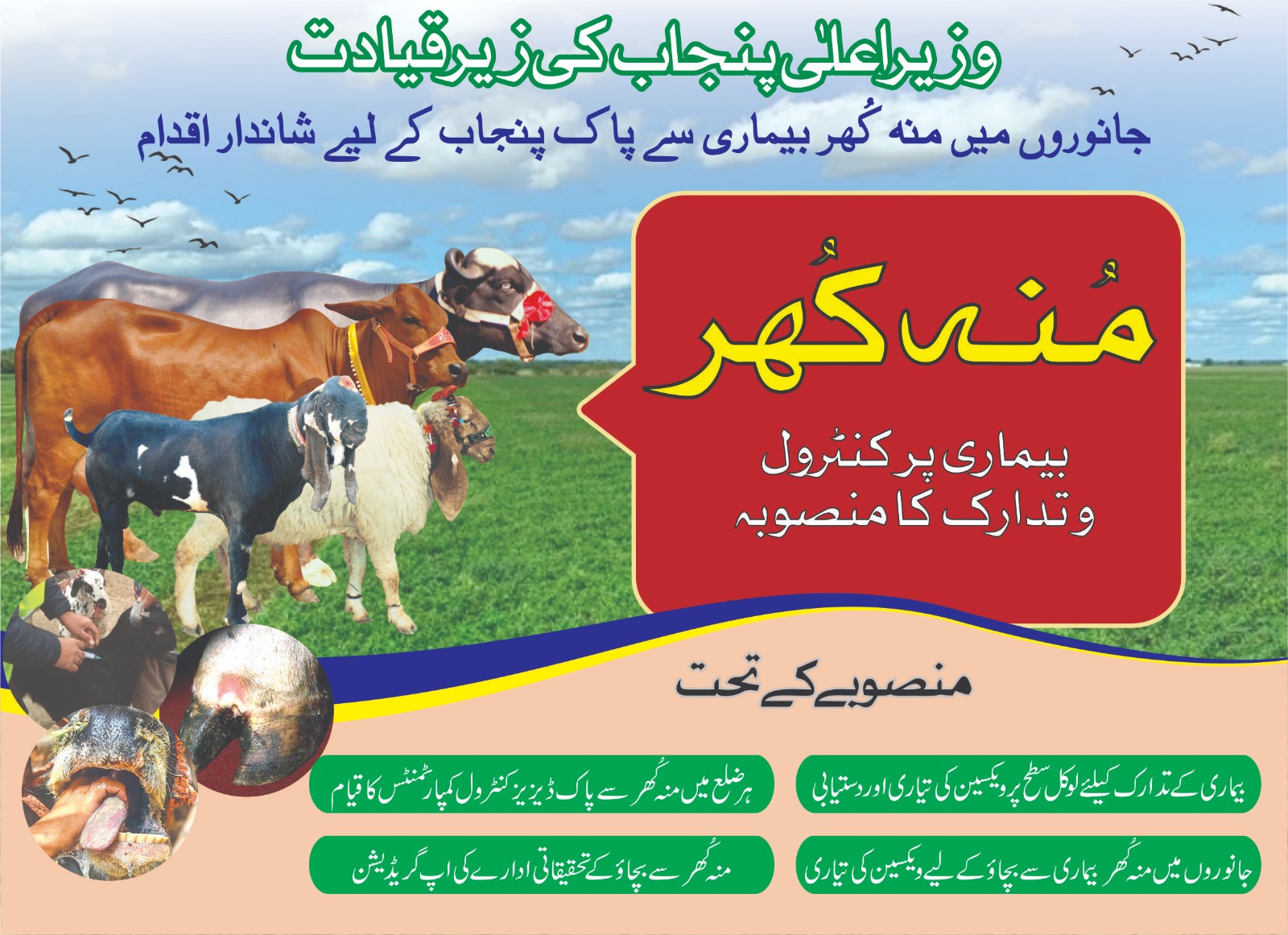 Punjab Government’s FMD Vaccination Campaign to Protect Livestock in 2025 1 Moo Khur